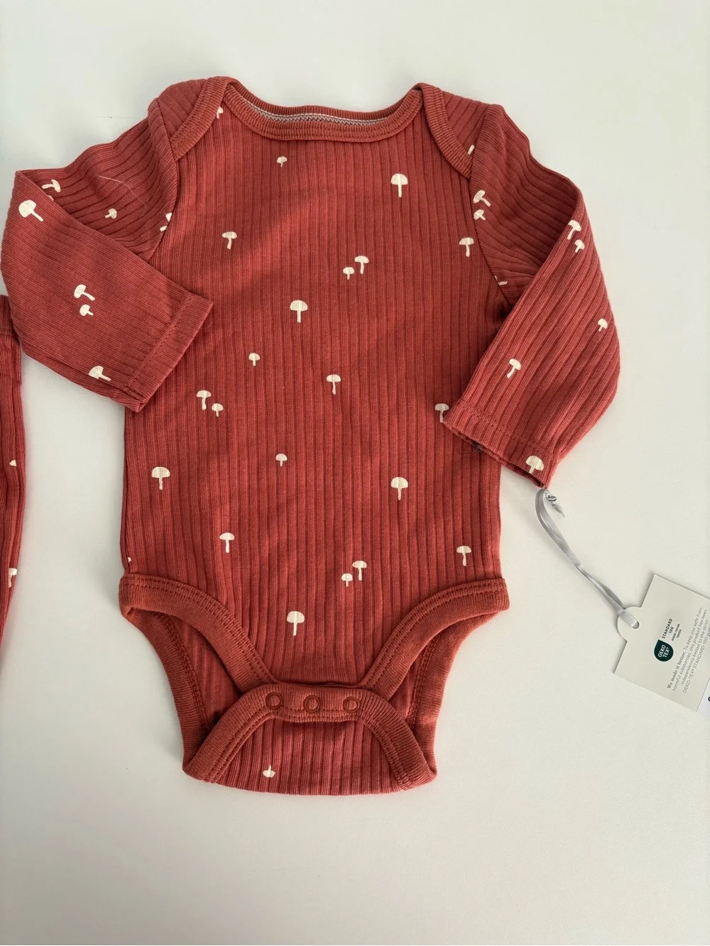 cloud island Rust Ribbed Mushroom Print Baby Bodysuit & Pants Set 0-3